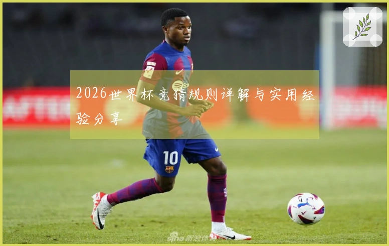 2026世界杯竞猜规则详解与实用经验分享