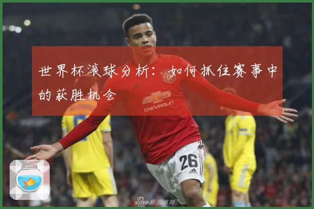 世界杯滚球分析：如何抓住赛事中的获胜机会