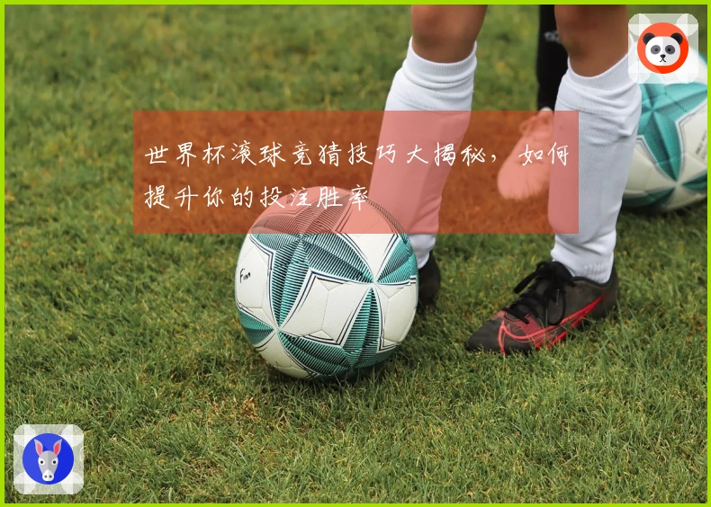 世界杯滚球竞猜技巧大揭秘，如何提升你的投注胜率