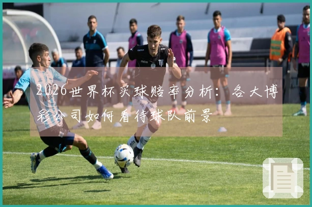 2026世界杯买球赔率分析:各大博彩公司如何看待球队前景