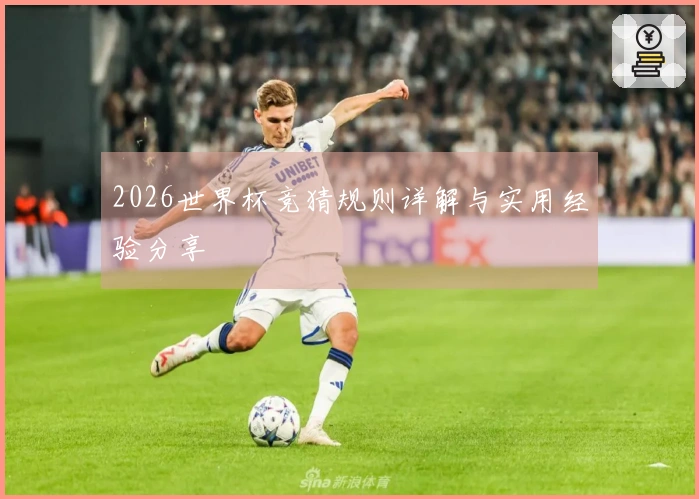 2026世界杯竞猜规则详解与实用经验分享